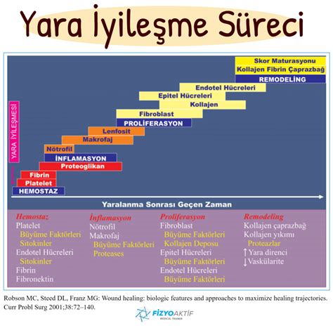 Besinlerin sindirilebilirliği ve iyileşme süreci